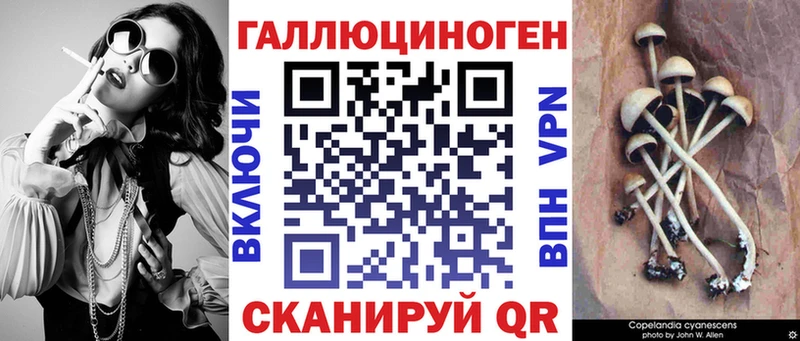 мориарти телеграм  кракен рабочий сайт  Псилоцибиновые грибы Psilocybine cubensis  Острогожск  продажа наркотиков 