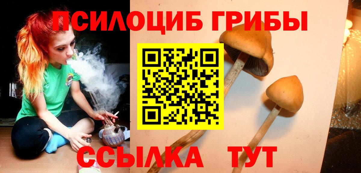 Острогожск  сколько стоит  Вход с VPN  Псилоцибиновые грибы Psilocybine cubensis  Псилоцибиновые грибы Psilocybine cubensis 